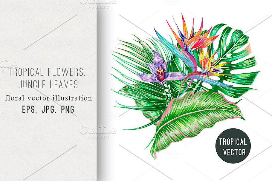 Tropical flowers summer illustration in Illustrations - product preview 8