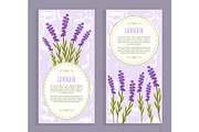 Lavender Collection Purple Vector Illustration