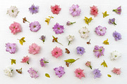 Flowers pattern, floral background