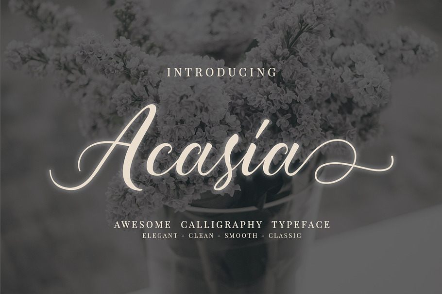 Acasia in Script Fonts - product preview 8