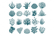 Seaweeds and coral silhouettes
