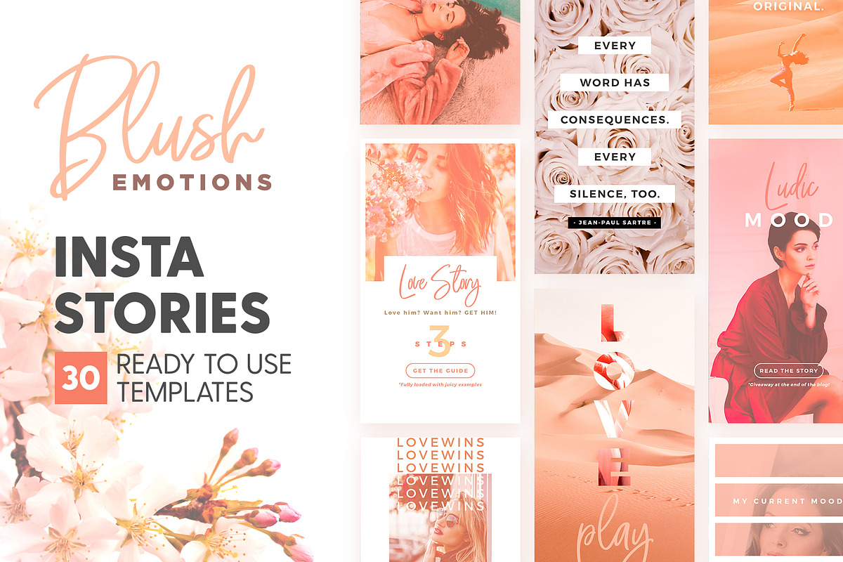 Instagram Stories - Blush Emotions in Instagram Templates - product preview 8
