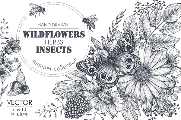 Vector insects and wildflowes set