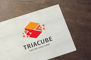 Triangle Cube Logo