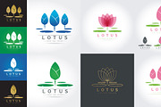 Set of Isolated abstract Lotus Logo