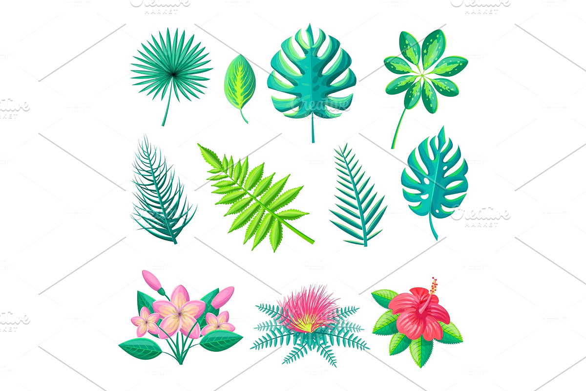 Leaves and Flowers Collection Vector Illustration in Illustrations - product preview 8