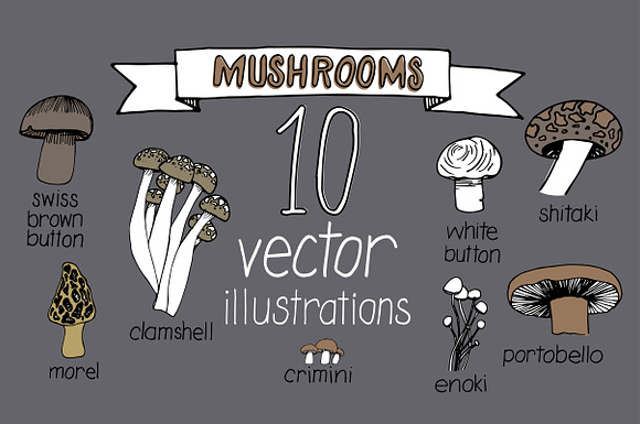 Mushroom Varieties in Illustrations - product preview 1
