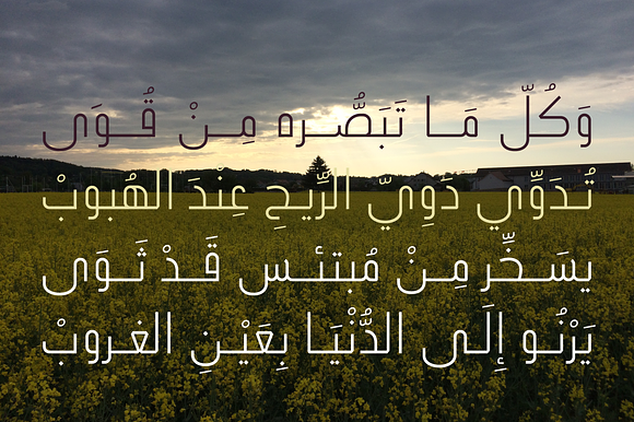 Ikseer - Arabic Typeface in Non Western Fonts - product preview 4