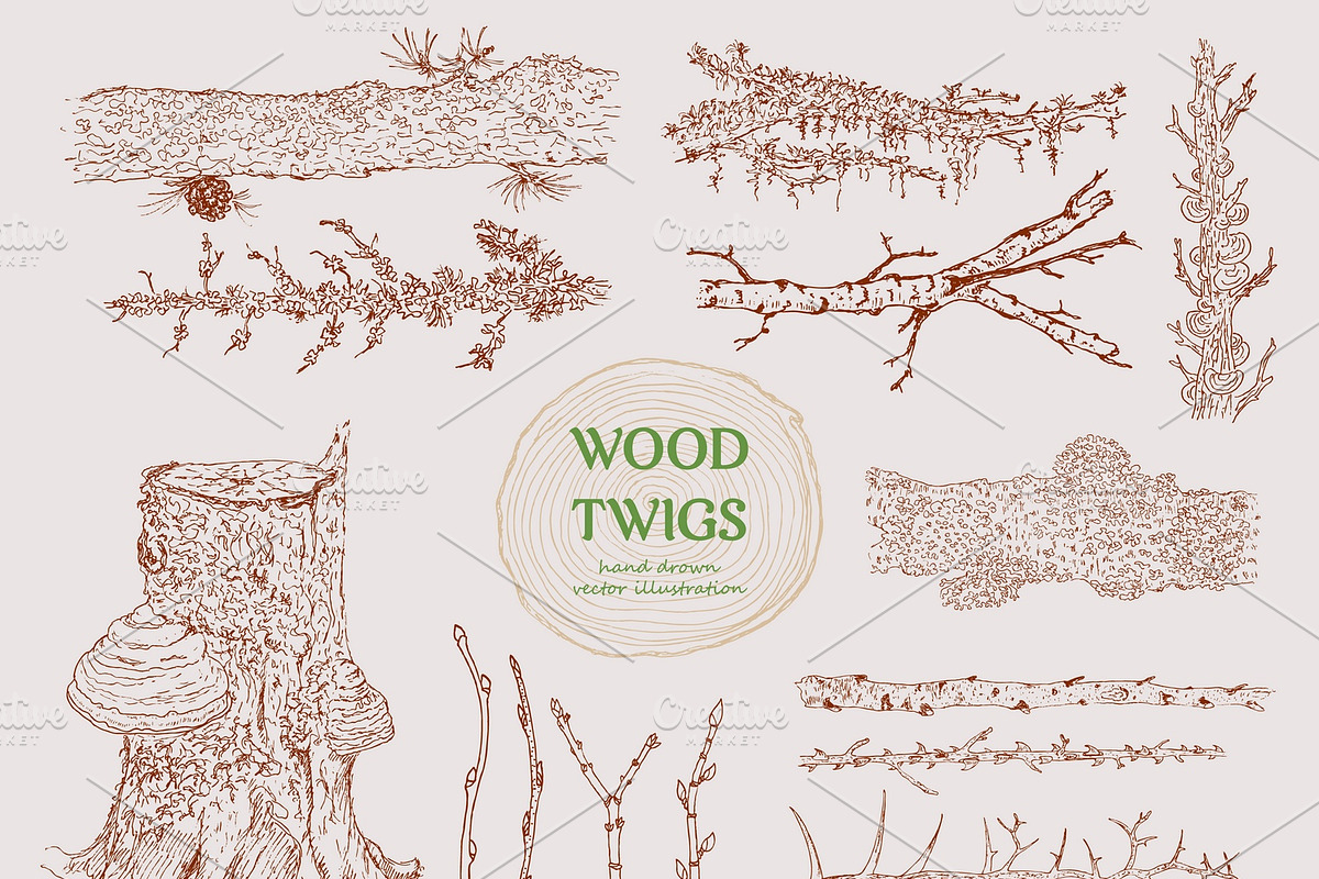 Hand Drawn Wood Branches Set in Illustrations - product preview 8