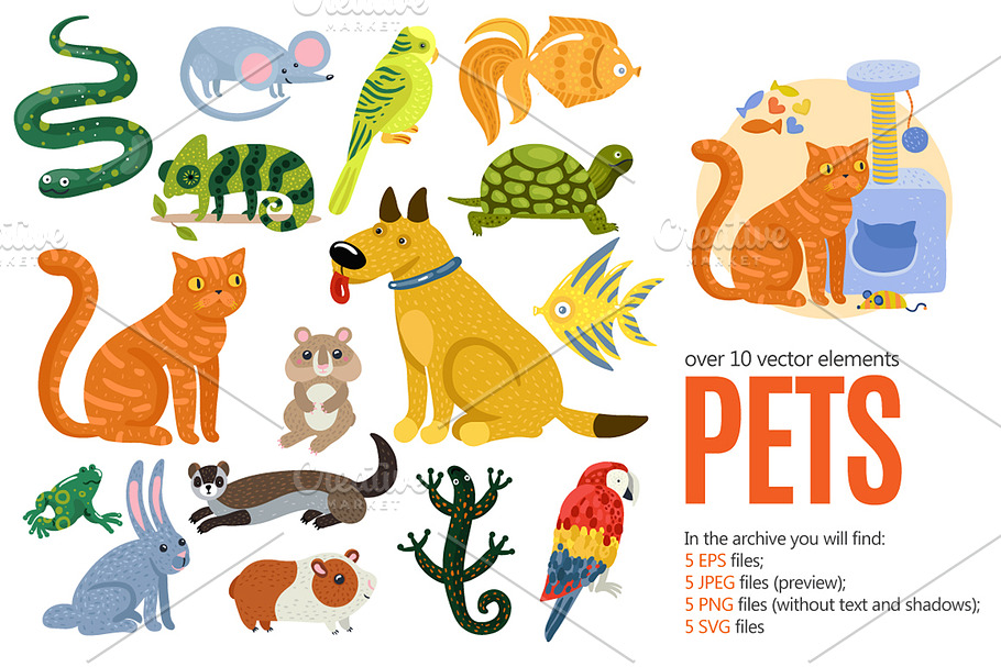 Pets Cartoon Set in Illustrations - product preview 8