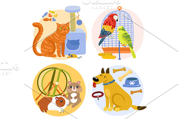 Pets Cartoon Set in Illustrations - product preview 3