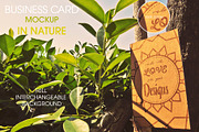 Business Card in Nature 4 Mockup