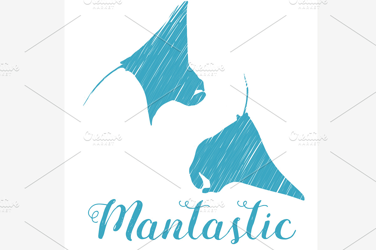 Manta Ray in Illustrations - product preview 8