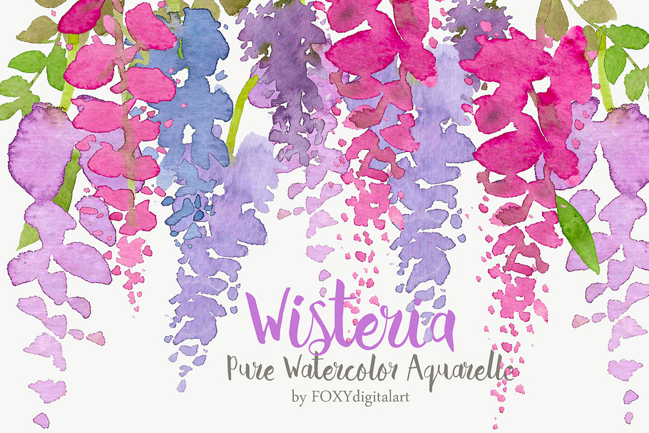 Watercolor Flowers Wisteria Clipart