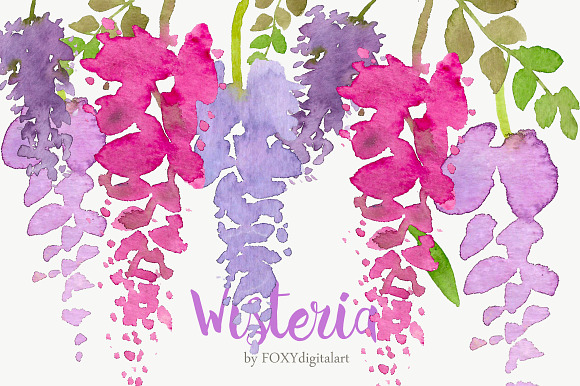 Watercolor Flowers Wisteria Clipart in Illustrations - product preview 2