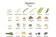 Vector set of Legumes and beans