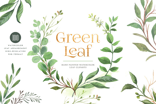 Green Leaf Watercolor Clipart