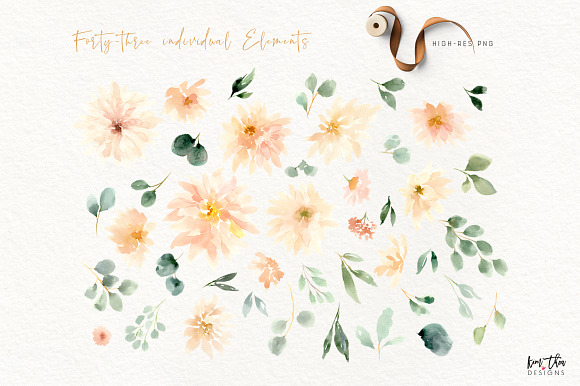 Peach and Cream Dahlias in Illustrations - product preview 10