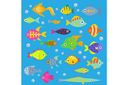 Aquarium flat fish vector ocean breeds underwater bowl tropical aquatic animals water nature pet characters illustration. Beautiful swimfish freshwater nautical seaside decorative icons