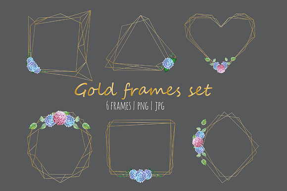 Gold frames with Hydrangea in Illustrations - product preview 1