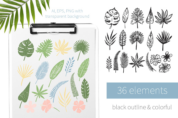 Tropical Hand Drawn Leaves in Objects - product preview 1