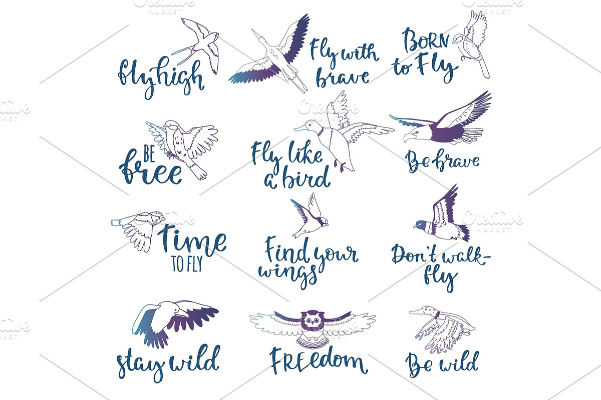 Bird lettering vector text fly high and flying birdie swallow with feather wings illustration set of owl freedom print for typography with handwritten letters isolated on white background in Illustrations - product preview 8