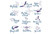 Bird lettering vector text fly high and flying birdie swallow with feather wings illustration set of owl freedom print for typography with handwritten letters isolated on white background