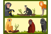 Monkey character animal different breads wild zoo ape chimpanzee vector illustration.