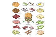 Burger vector fast food hamburger or cheeseburger constructor with ingredients meat bun tomato and cheese illustration fastdood sandwich or beefburger set isolated on white background