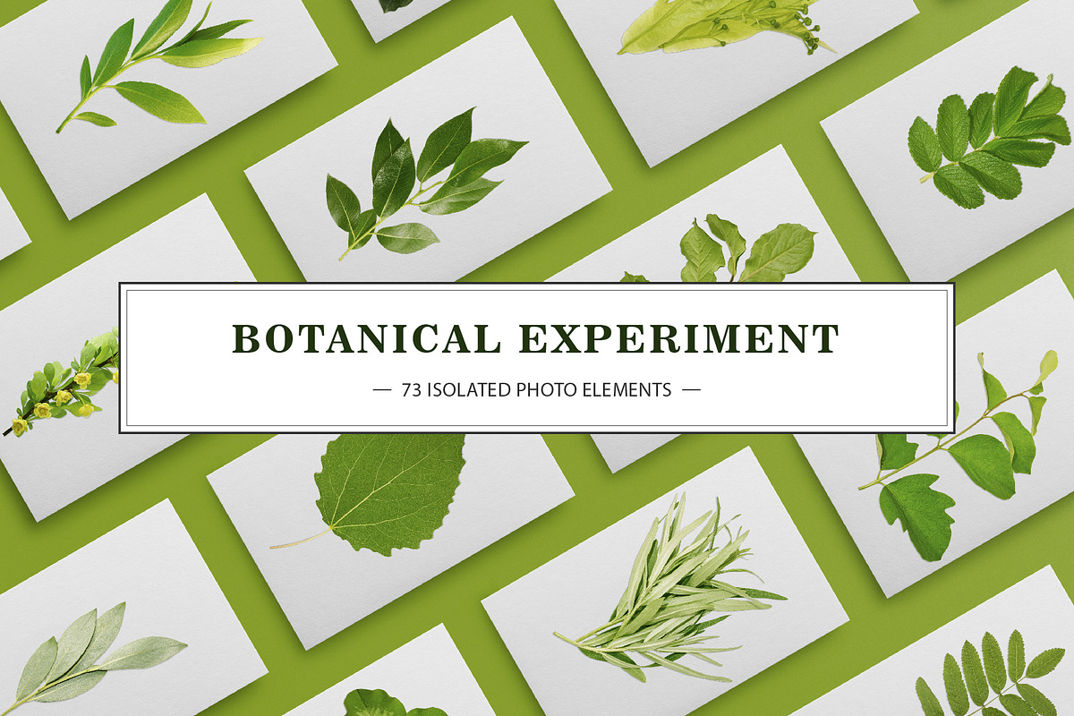 BOTANICAL EXPERIMENT in Objects - product preview 8