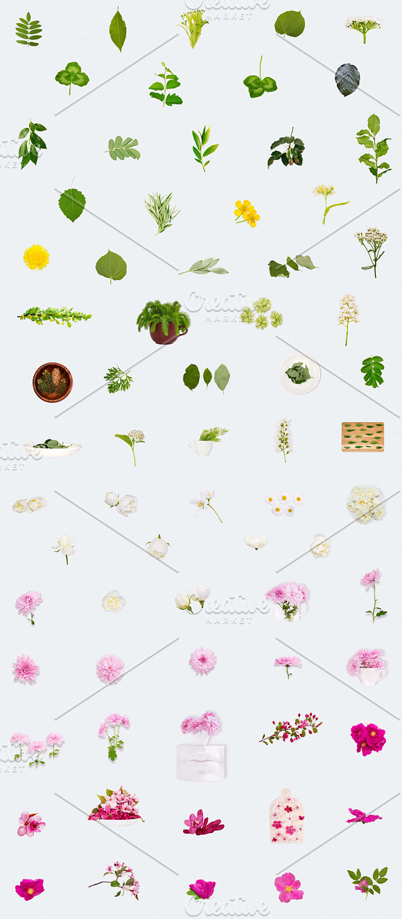 BOTANICAL EXPERIMENT in Objects - product preview 9