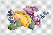 Bouquet tropical flower PNG watercol