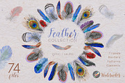 Feather collection PNG watercolor
