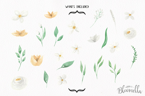 Flower Wedding Watercolor Elements in Illustrations - product preview 4