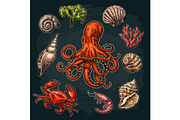 Set sea shell, coral, crab, shrimp and octopus.