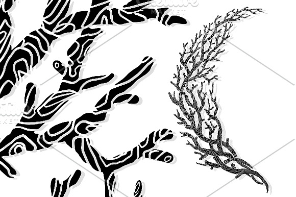 Twigs Symbol Collection in Illustrations - product preview 9