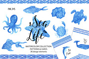 Sea Life.Watercolor collection.