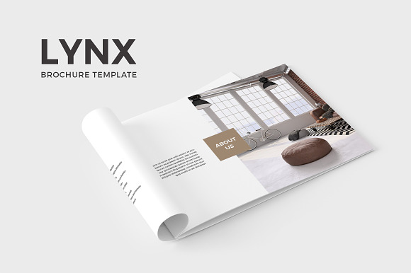 Lynx Complete Pack in Brochure Templates - product preview 4