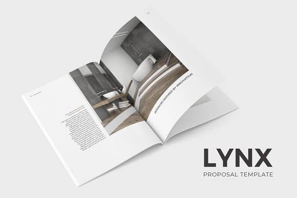 Lynx Complete Pack in Brochure Templates - product preview 5