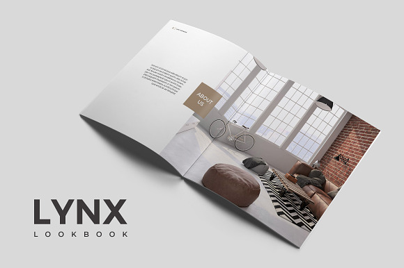 Lynx Complete Pack in Brochure Templates - product preview 6