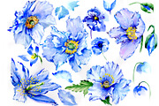 Gently blue poppies PNG watercolor