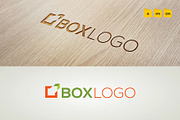 Professional Box Logo Template