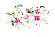 Bouquet pink roses  PNG watercolor