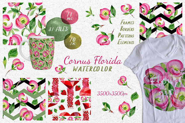 Cornus Florida flowers PNG set