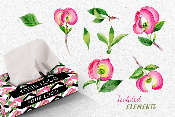 Cornus Florida flowers PNG set in Illustrations - product preview 2