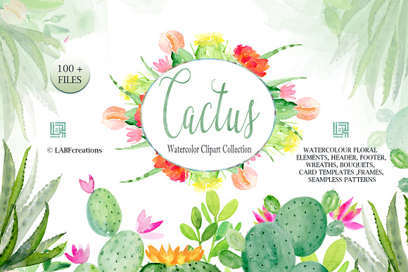 Cactus & Aloe Watercolor flowers in Illustrations - product preview 2