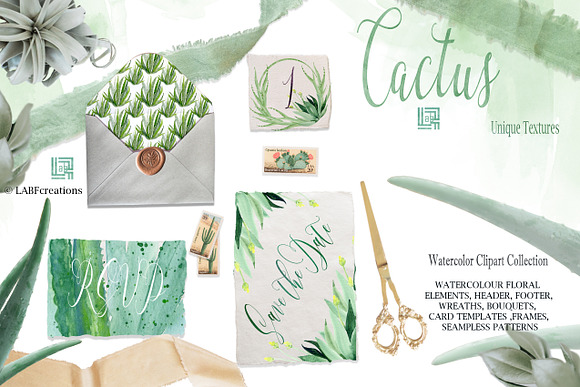 Cactus & Aloe Watercolor flowers in Illustrations - product preview 4
