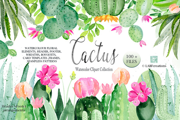 Cactus & Aloe Watercolor flowers in Illustrations - product preview 5