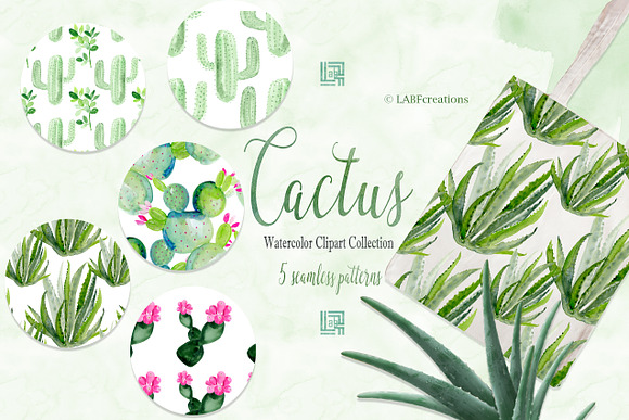 Cactus & Aloe Watercolor flowers in Illustrations - product preview 6