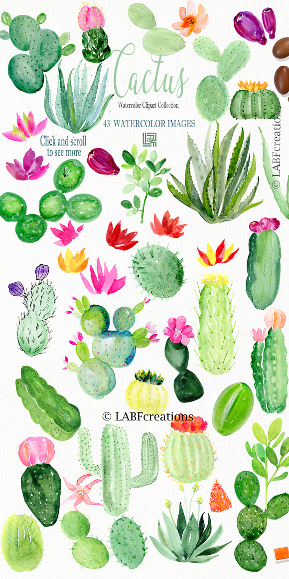 Cactus & Aloe Watercolor flowers in Illustrations - product preview 7